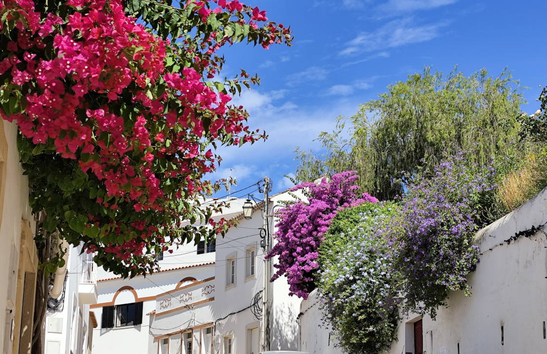 15 giorni in Portogallo: il mio itinerario da sogno nell'Algarve