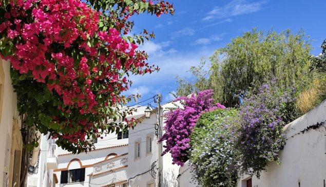 15 giorni in Portogallo: il mio itinerario da sogno nell'Algarve