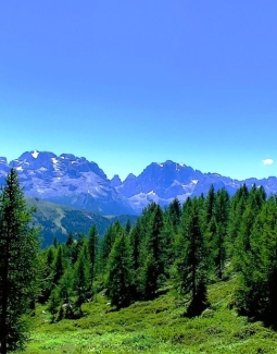 Val di Sole in sette giorni: un viaggio in auto tra eremi, cascate e mele