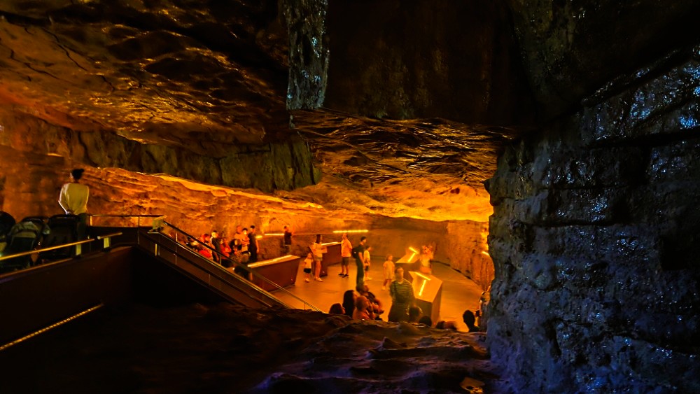 Altamira - museo e grotta Image
