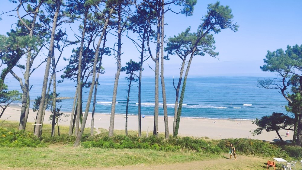 spiaggia di Frexulfe Image